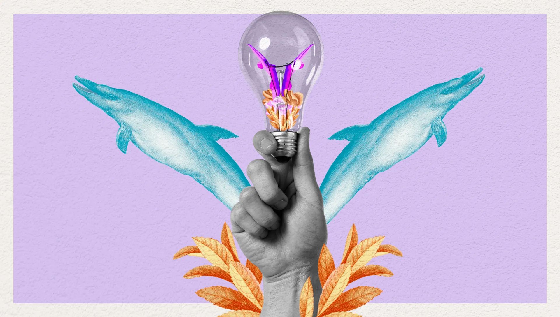 Plan your business
